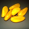 2 große Glasperlen Nuggets · Gelb Ocker Opal 24x12mm · pe1071