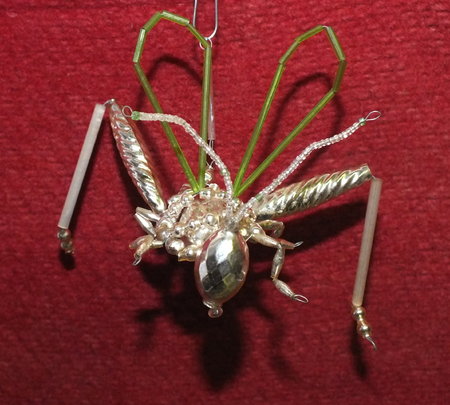 Heuschrecke / Insekt, ca. 14 cm lang\\n\\n21.01.2015 15:24